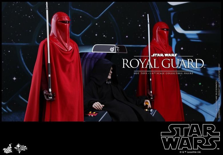 Star Wars VI Return of the Jedi : 1/6 Royal Guard (Hot Toys)  19334010