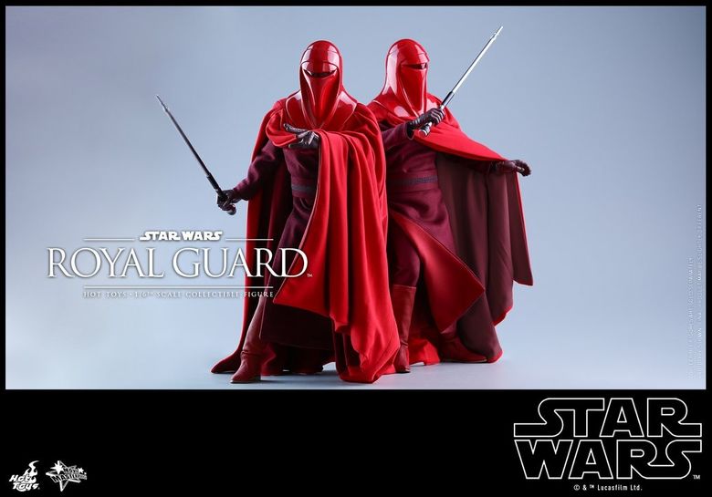 Star Wars VI Return of the Jedi : 1/6 Royal Guard (Hot Toys)  19334710