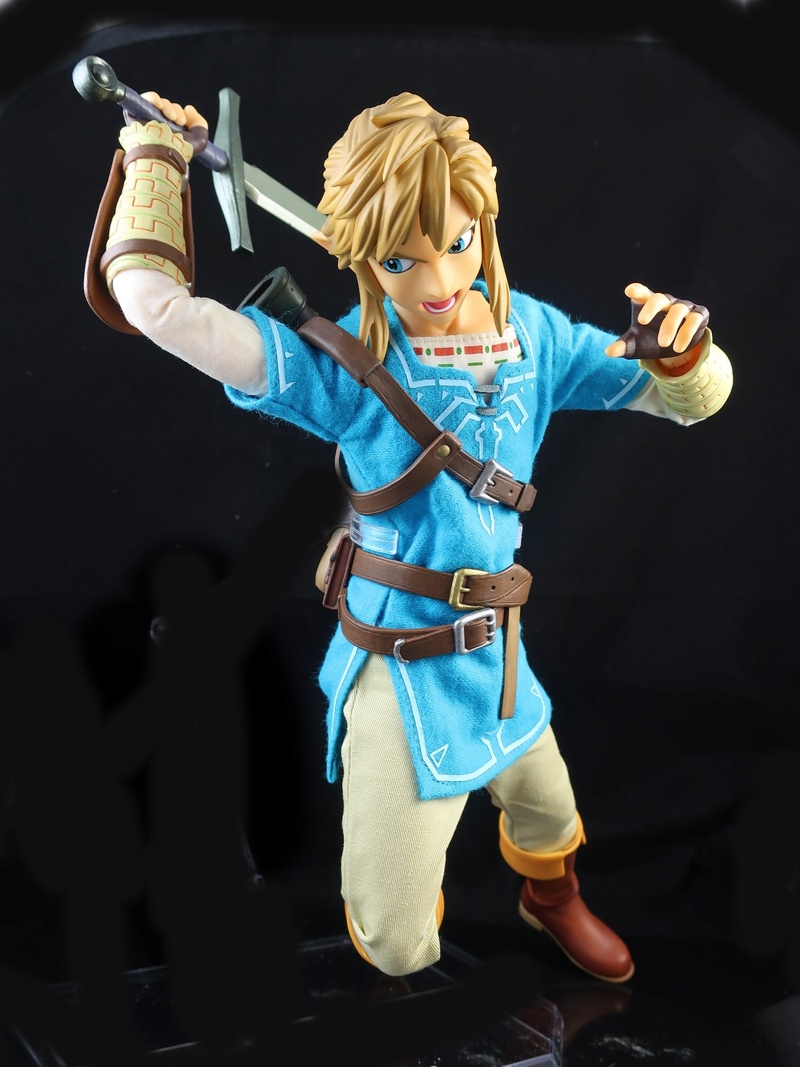 Link (Zelda) RAH (Real Action Heroes) (Medicom) Avnozg10