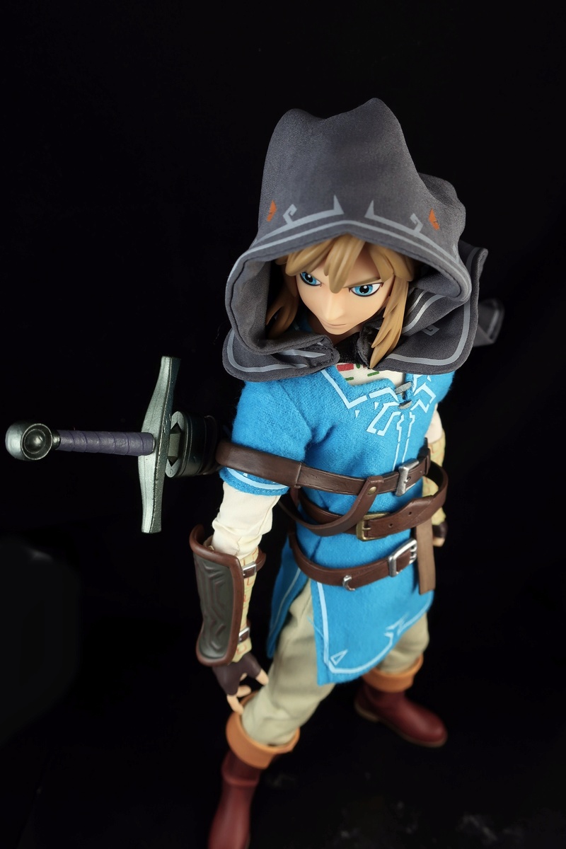 Link (Zelda) RAH (Real Action Heroes) (Medicom) Efftfm10