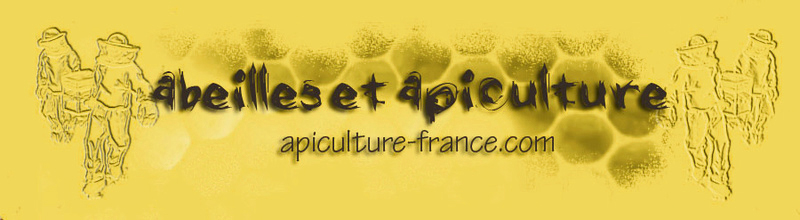 forum apiculture France et abeilles 