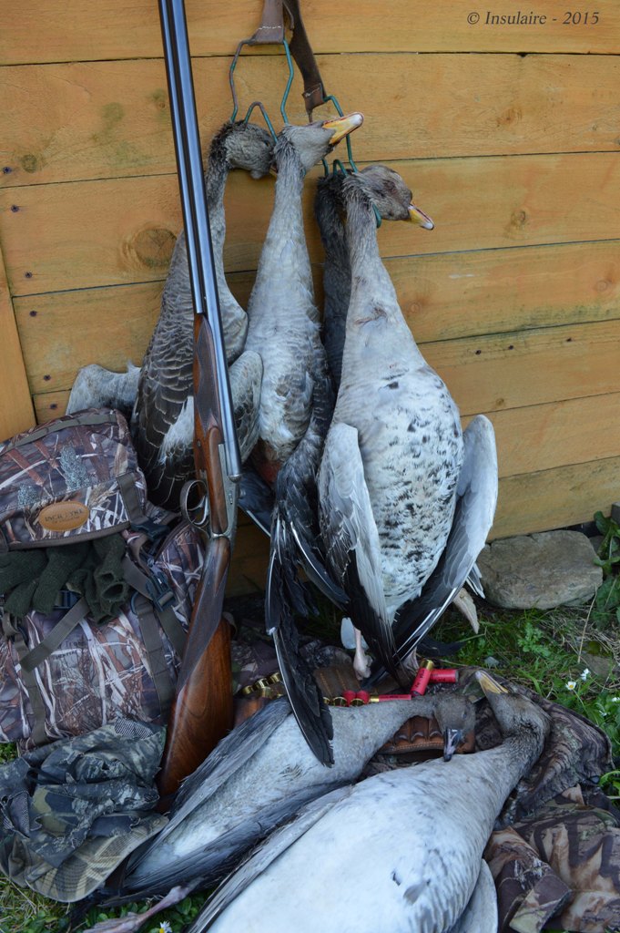 Club des heureux utilisateurs de Darne et de Charlin Geese_10