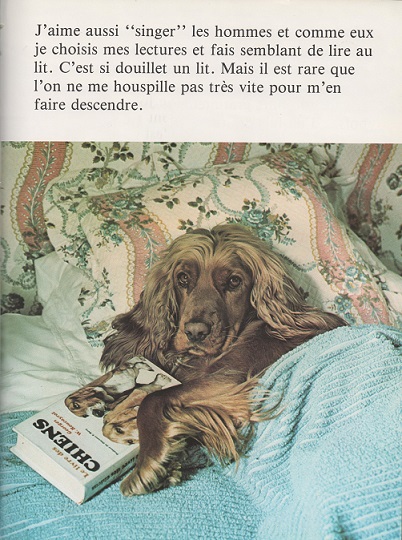 Les chiens dans les romans et albums jeunesse - Page 3 5_00110