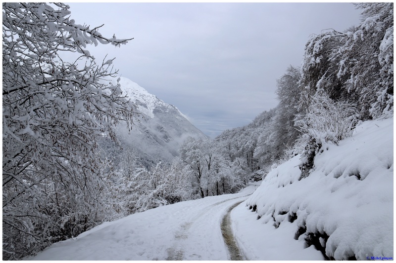 Une semaine à la Neige dans les Htes Pyrénées - Page 7 Dsc01109