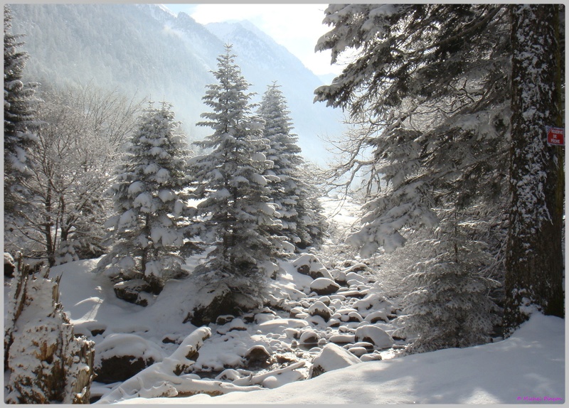 Une semaine à la Neige dans les Htes Pyrénées - Page 4 Dsc01331