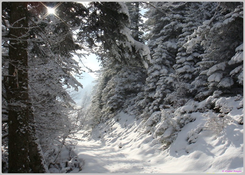 Une semaine à la Neige dans les Htes Pyrénées - Page 4 Dsc01332