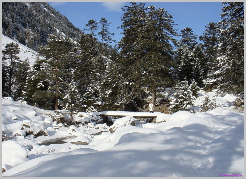 Une semaine à la Neige dans les Htes Pyrénées - Page 4 Dsc01333