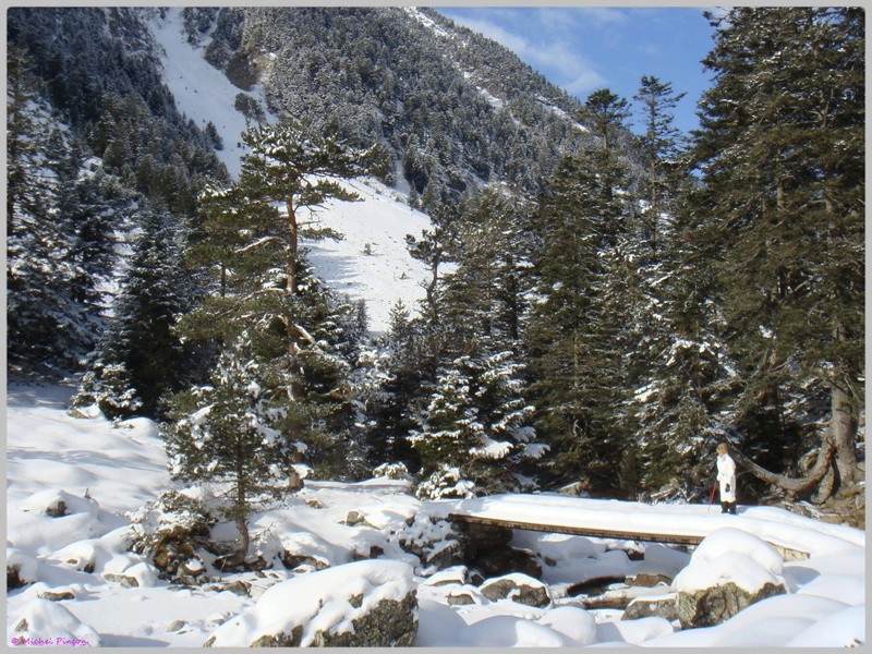 Une semaine à la Neige dans les Htes Pyrénées - Page 4 Dsc01334