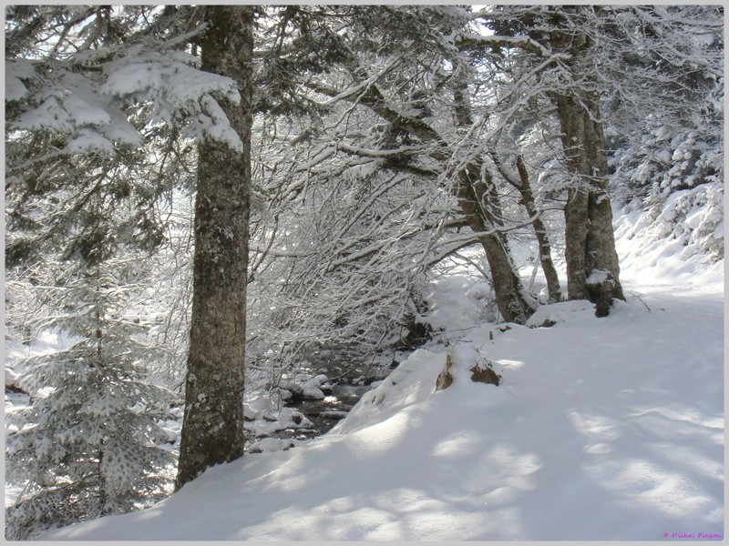 Une semaine à la Neige dans les Htes Pyrénées - Page 4 Dsc01335