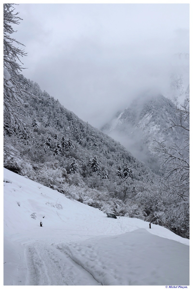 Une semaine à la Neige dans les Htes Pyrénées - Page 6 Dsc01483