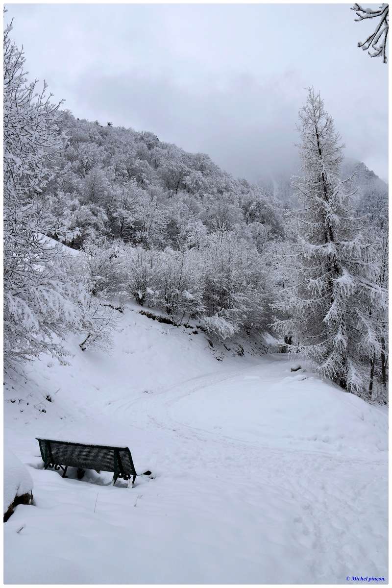 Une semaine à la Neige dans les Htes Pyrénées - Page 6 Dsc01487