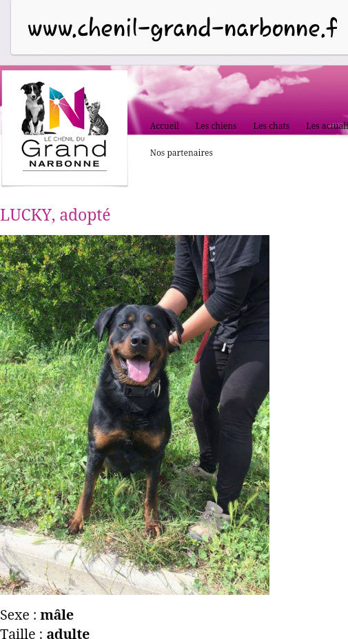 LUCKY, x beauceron né en 2015 Screen10