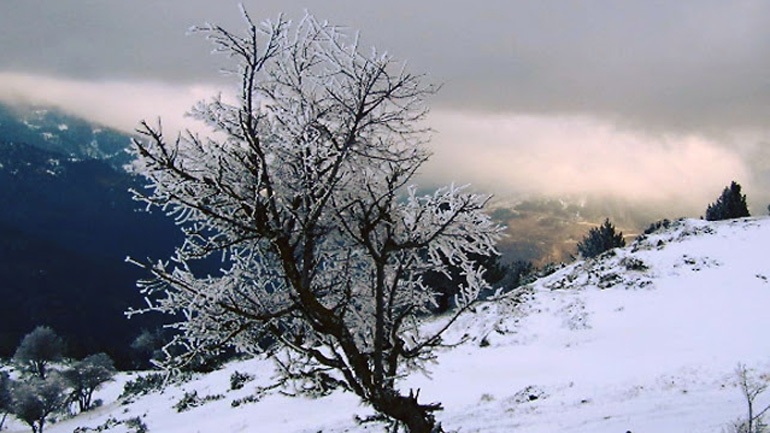 Ήπειρος: Πυκνές χιονοπτώσεις σε περιοχές άνω των 1.000 μέτρων 23791110