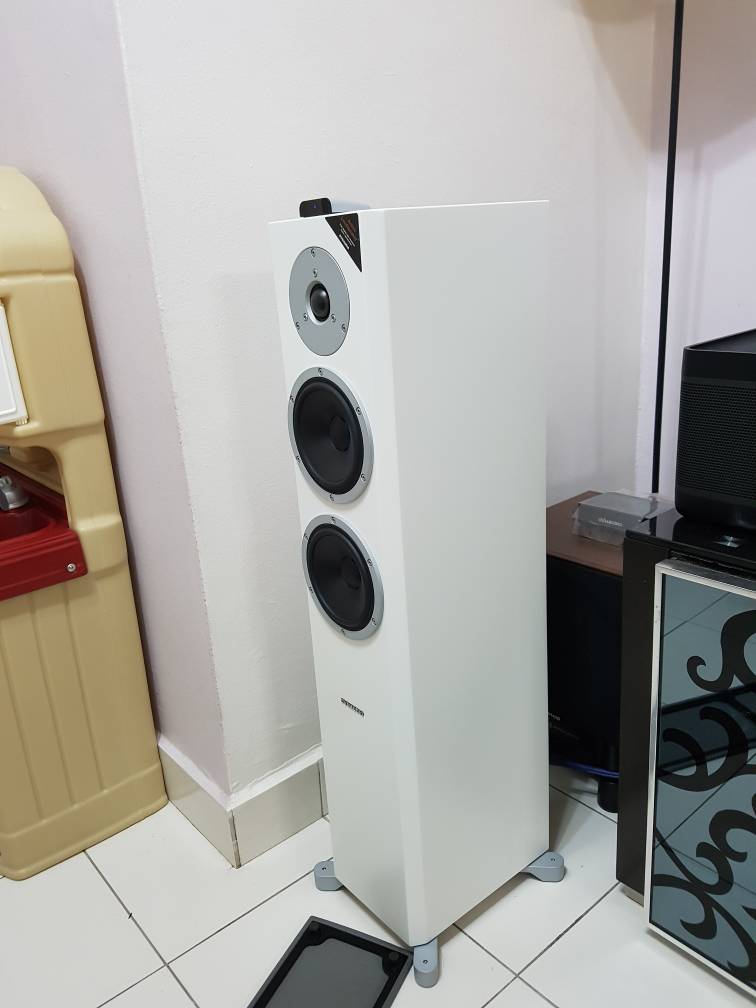 Dynaudio Xeo 6 floorstanders (sold) Whatsa36