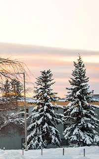 Fairbanks