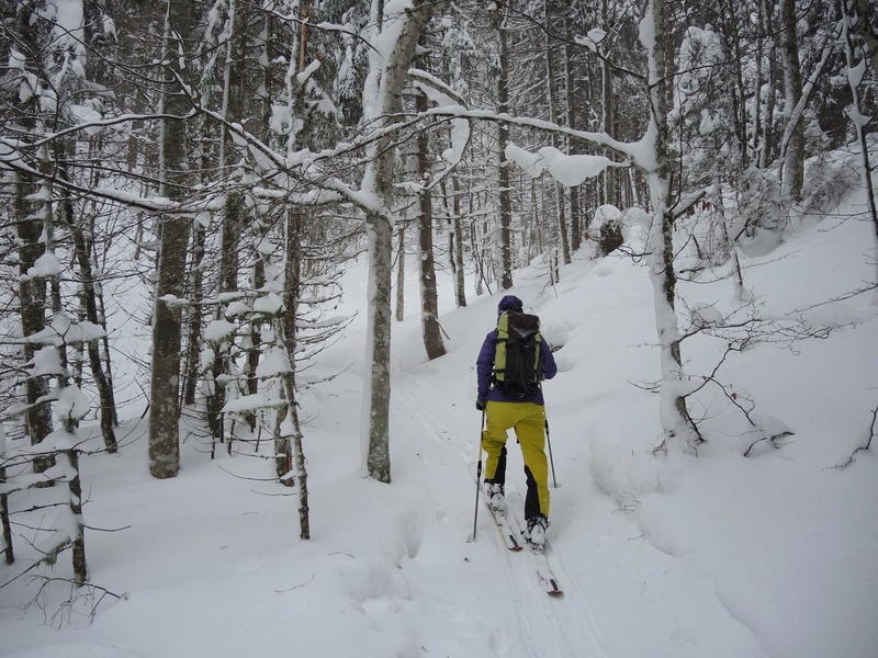 10 décembre 2017 : LE CHASSERON  Cr511