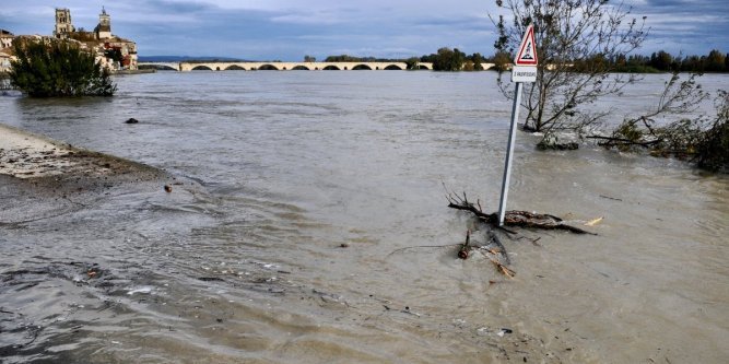 Cata de la pêche en ce moment :( Le-rho10