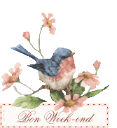 Mars bon ou méchant: ton boeuf à l'herbe, ton chien dedans - Page 2 Oiseau10