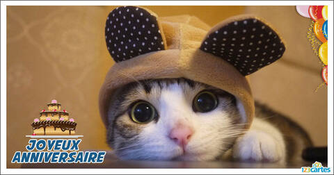 Joyeux Anniversaire Page 15