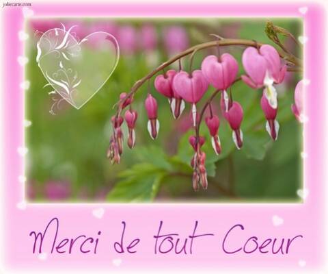 Joyeux Anniversaire Page 15