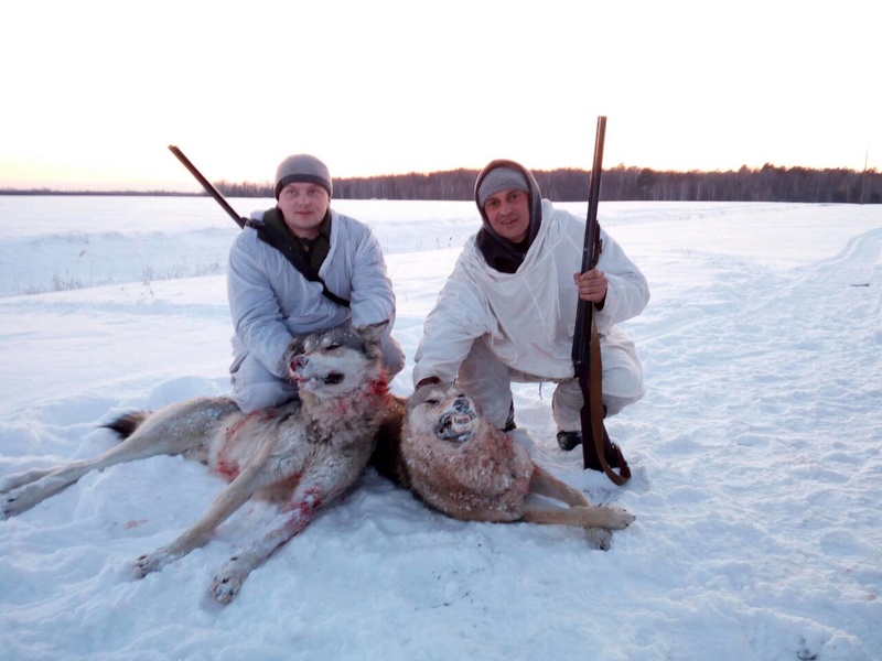 Séjour chasse test en Biélorussie - Page 11 411