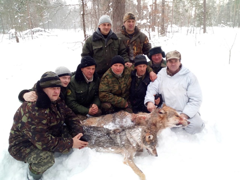 Séjour chasse test en Biélorussie - Page 11 711