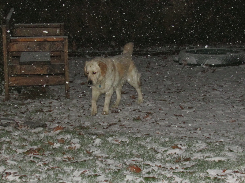 neige en Limousin Img_8610