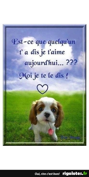 HUMOUR - Page 7 20180273