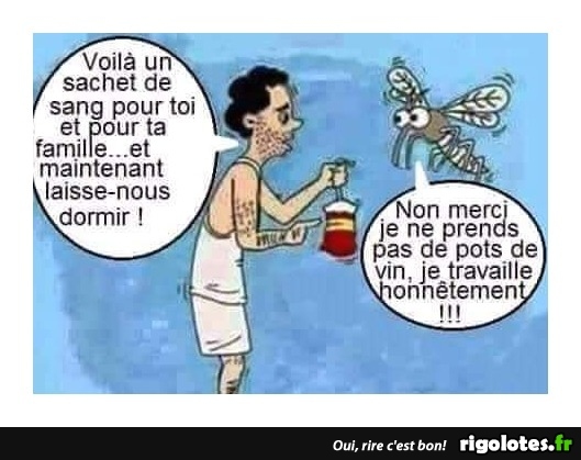 HUMOUR - Page 8 20180274