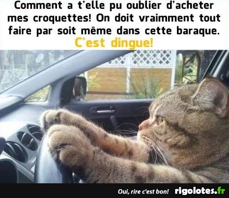 HUMOUR - Page 8 20180460