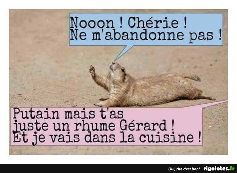 HUMOUR - Page 25 20181115