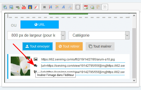 Tutoriel pour insérer des images dans vos messages Image310