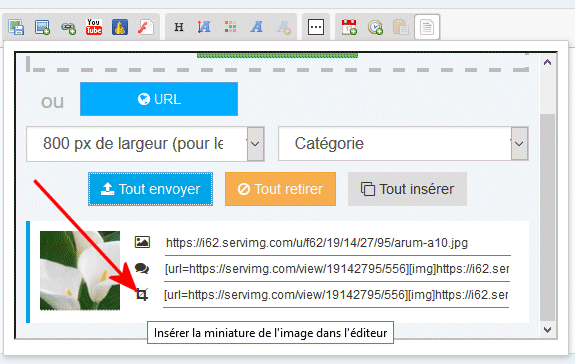 insérer - Tutoriel pour insérer des images dans vos messages Image410