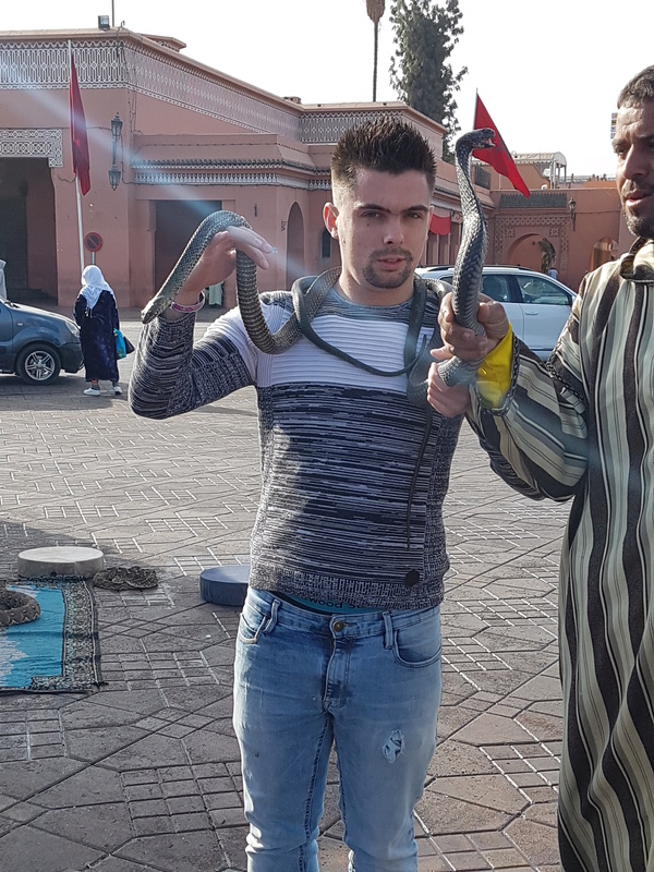 Couleuvre et cobra royal a marrakech 20171112