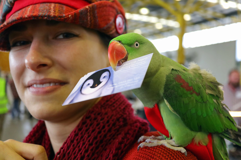  Sydney GEM Show 2018 - (PICS) Img_2210