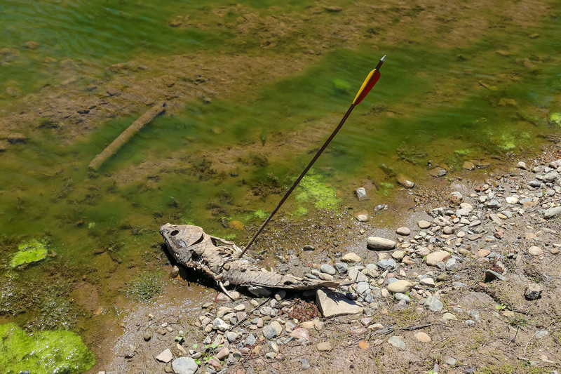 Exploring the Turon River for Gold yesterday (PICS) Img_3214