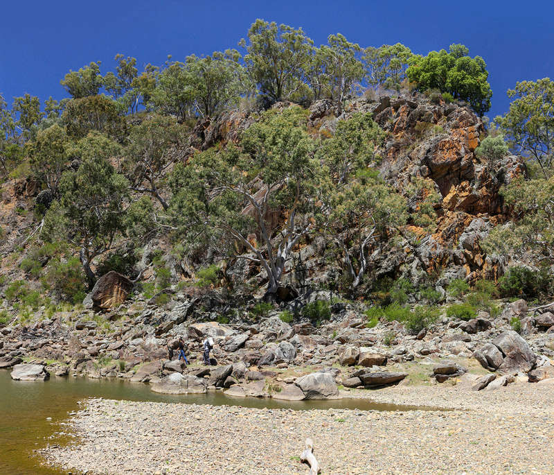 Exploring the Turon River for Gold yesterday (PICS) Img_3215