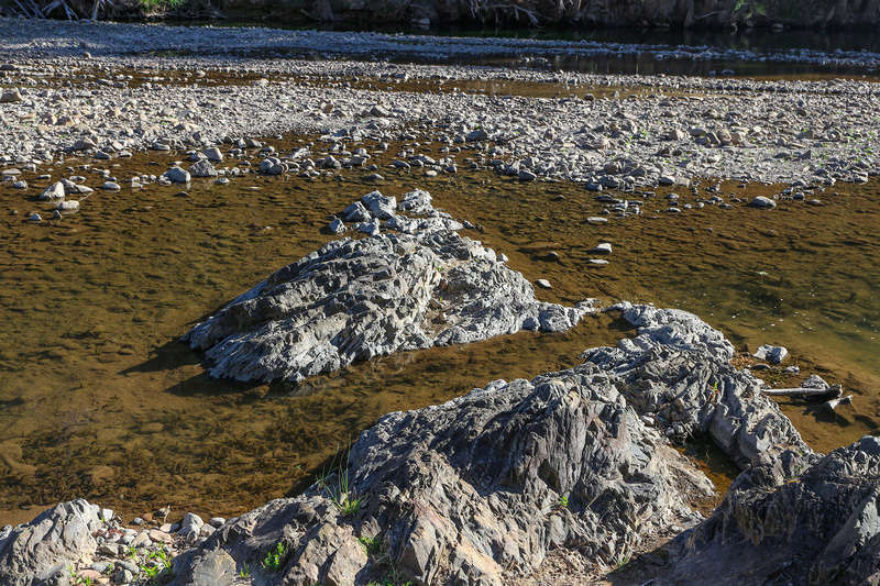 Exploring the Turon River for Gold yesterday (PICS) Img_3517