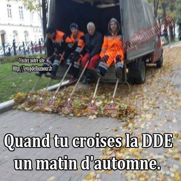 HUMOUR EN PHOTO - Page 26 21764710