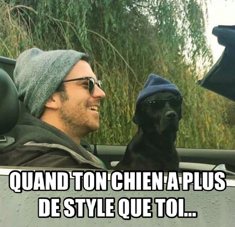 HUMOUR EN PHOTO - Page 33 22281811