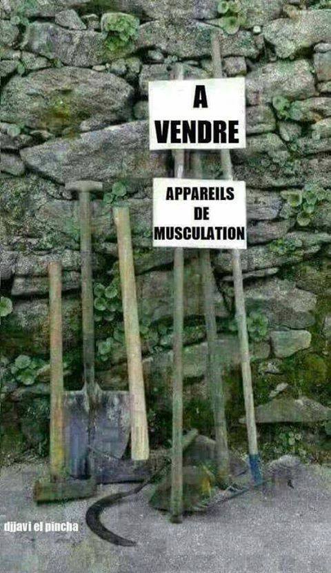 HUMOUR EN PHOTO - Page 29 23659710