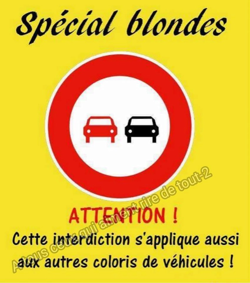 HUMOUR : Histoires de blondes  - Page 39 24909610