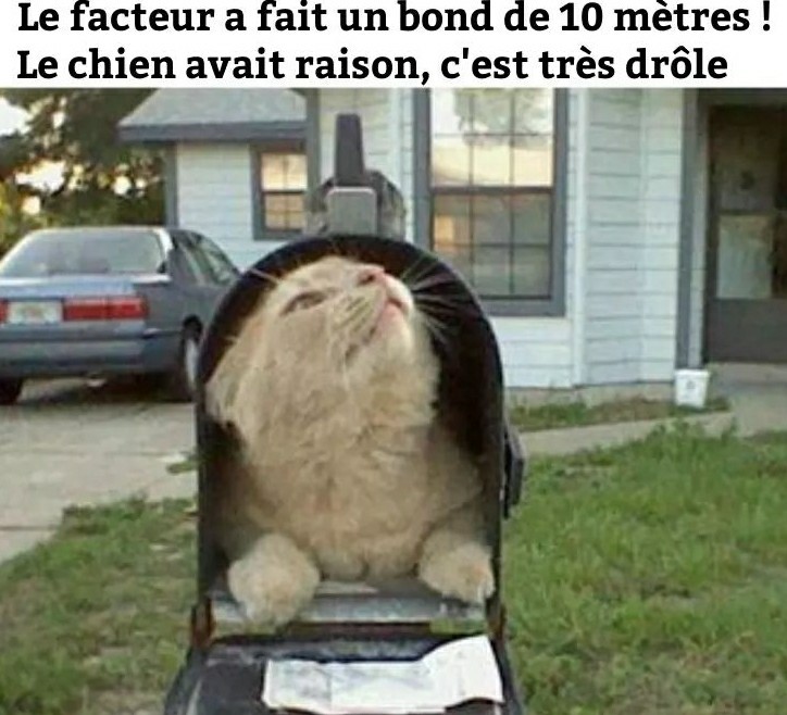 HUMOUR : le chat dans tous ses états - Page 16 28468510