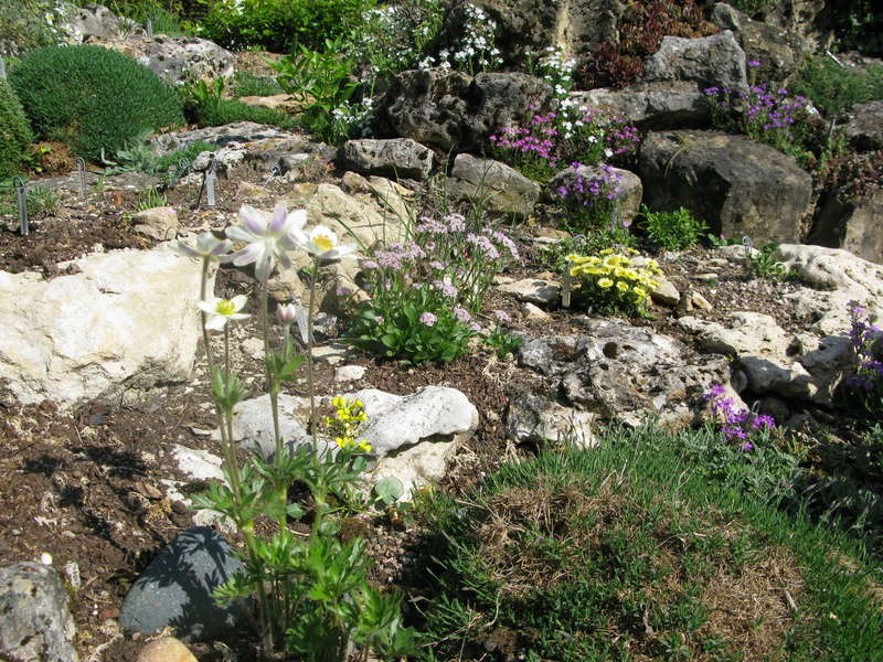 petite promenade dans les rocailles en Mai 2018 Img_0112