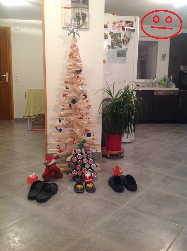 Un sapin en... sapin! - Page 3 Img_1110