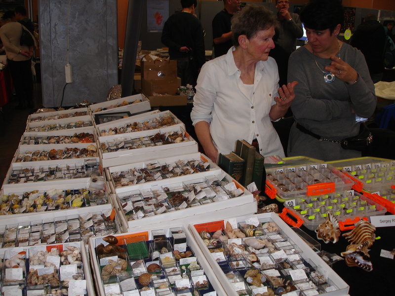 30ème Rencontres Internationales du Coquillage 10 & 11 mars 2018 - Page 3 Dsc07880