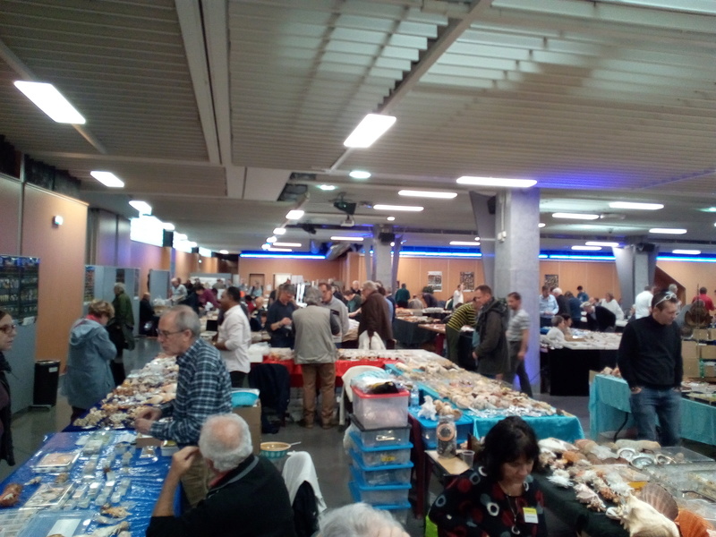 30ème Rencontres Internationales du Coquillage 10 & 11 mars 2018 - Page 3 Img_2018