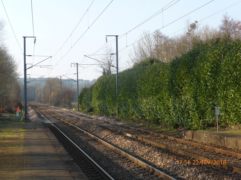 Gare de Saint-Germain-sur-Ille 2018_011