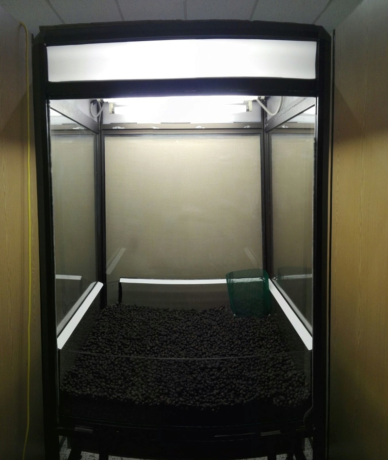 Terrarium 75x75x90 (Pour dendrobates) 210