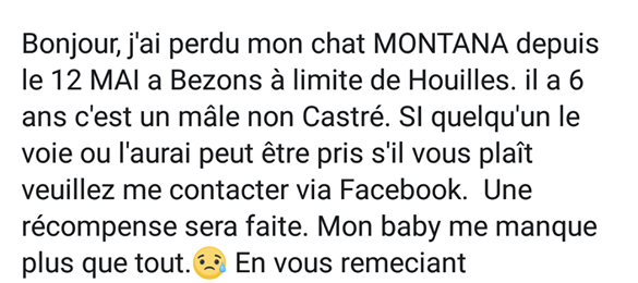 MONTANA perdu à Bezons le 12 mai 2018 Montan10